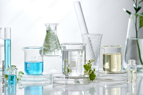 Cosmeceutical Formulation Development